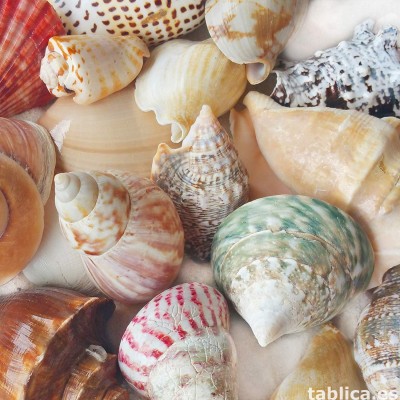Wakacje pod słońcem – Costa Blanca, to California Europy...