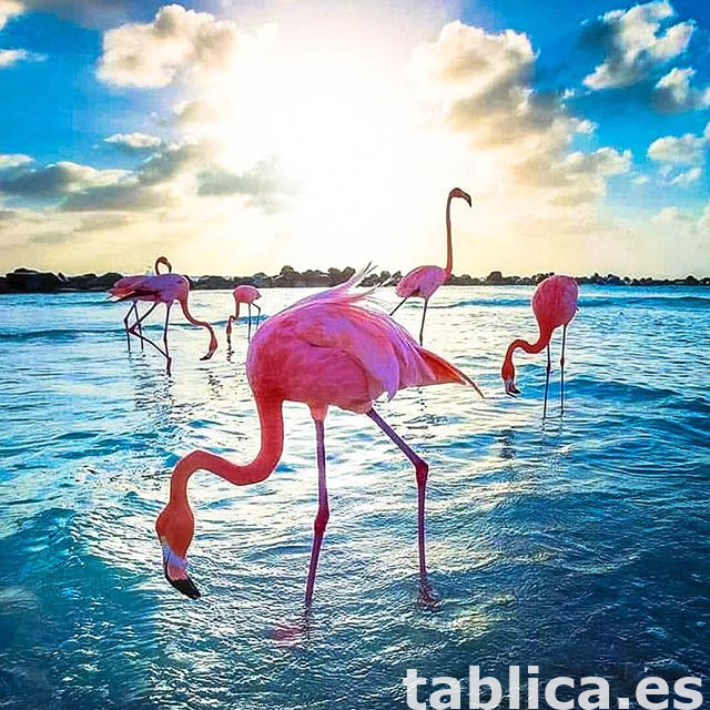 Naturaleza + Deporte + Cultura = COSTA BLANCA. 2