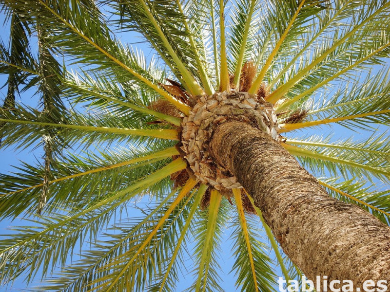 Naturaleza + Deporte + Cultura = COSTA BLANCA. 3