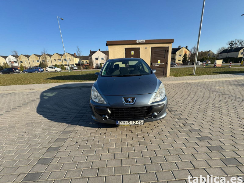 Peugeot 307 10
