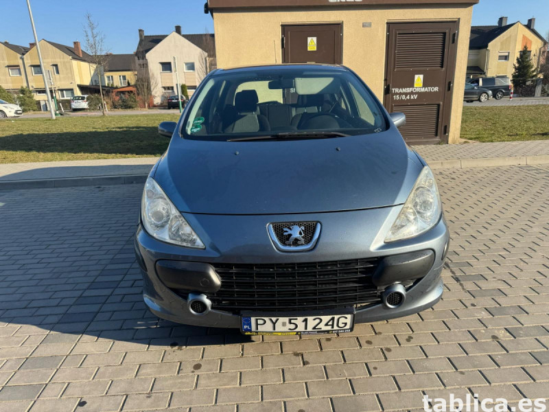 Peugeot 307 19