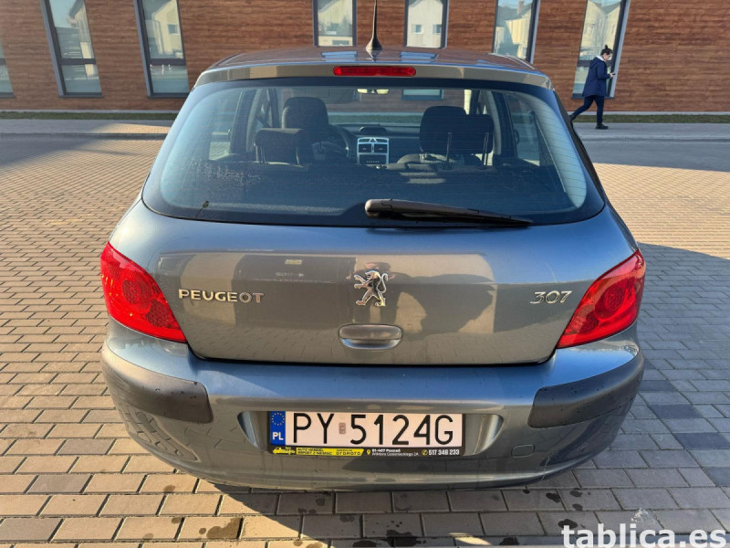 Peugeot 307 22