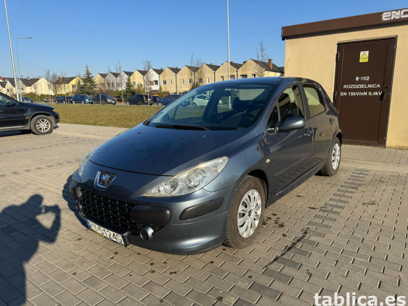Peugeot 307 23