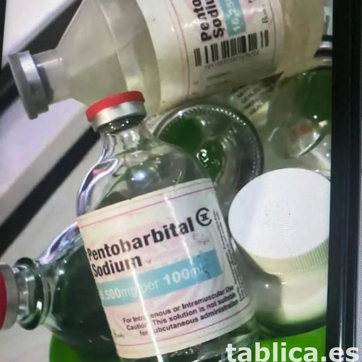 Zamów barbituran sodu pentobarbital - Kup roztwór doustny ne 0