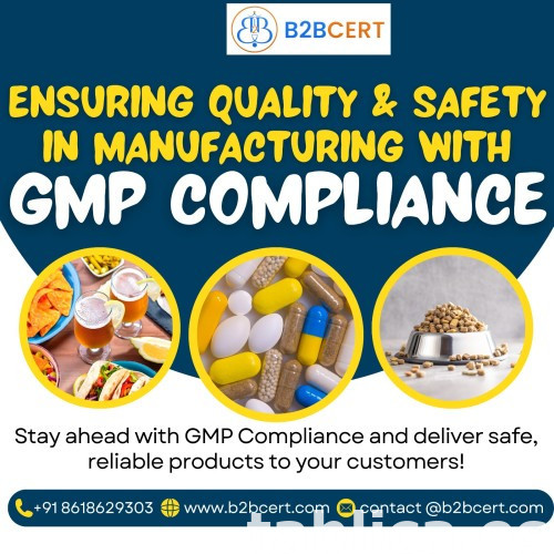 GMP Certification in Mumbai 0